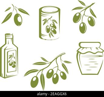 Doodle sketches of fresh healthy olives on twigs, bottled and preserved olives and olive oil Stock Vector