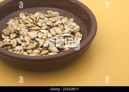 Closeup of a roasted pumpkin seed casserole on yellow background Stock Photo