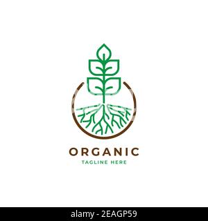 Growth plant logo illustration vector template Stock Vector