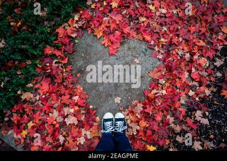 Young woman's legs and feet standing in heart shape created from red and orange autumn maple leaves. Asphalt surface in middle. Empty place for positi Stock Photo