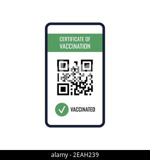 Certificate of vaccination on mobile phone screen with qr-code and pass check mark vaccinated. Stock Vector