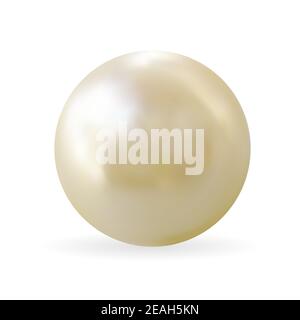 Realistic 3D Pearl isolated on white background. Vector Illustration Stock Vector