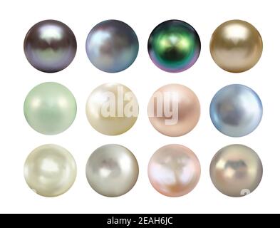 Realistic 3D Pearl collection set isolated on white background. Vector Illustration EPS10 Stock Vector