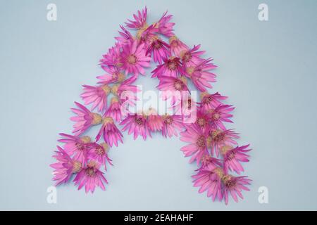 Letter a alphabet with flower ABC concept type as logo isolated on white background. With