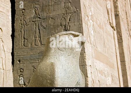 Ancient Egyptian statue of the falcon headed god Horus. Temple of Horus, Edfu, Egypt,. Stock Photo