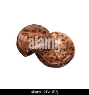 chocolate brownie cookies with chocolate drops, hand drawn watercolor illustration isolated on white background. Stock Photo