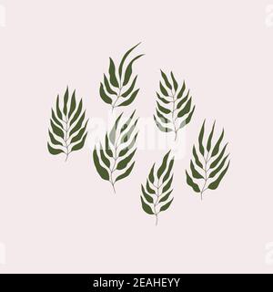 Floral set hand drawn color leaves. Isolated elements. Clip art for stationery, web design. Modern floral compositions. Vector illustration. Stock Vector