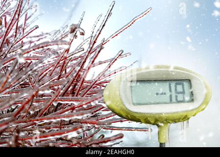 Branches encased in ice with thermometer showing minus 18 degrees. Freezing rain on tree branch and thermometer Stock Photo