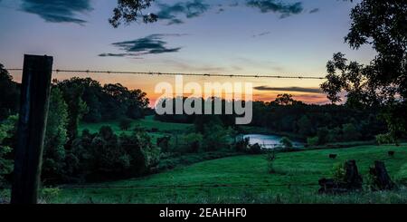 Panoramic view of a peaceful country background of the last light of sunset with a crescent moon in the sky over a hillside pasture with cattle in the Stock Photo