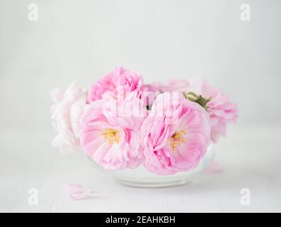 Bouquet of small light pink Roses in a glass vase against of pale grey wooden background. Selective focus. Shallow depth of field. Stock Photo