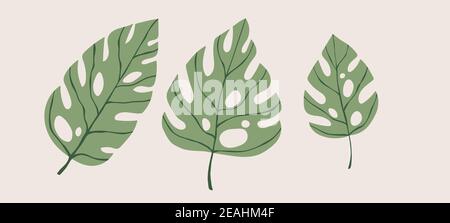 Floral set hand drawn color exotic monstera leaves. Cute isolated elements. Clip art for stationery, web design. Modern floral compositions with Stock Vector