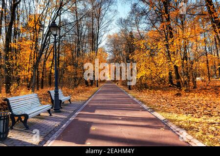 Autumn romantic alley with colorful trees and park benches in autumn park with soft sunlight. Autumn natural background. Stock Photo