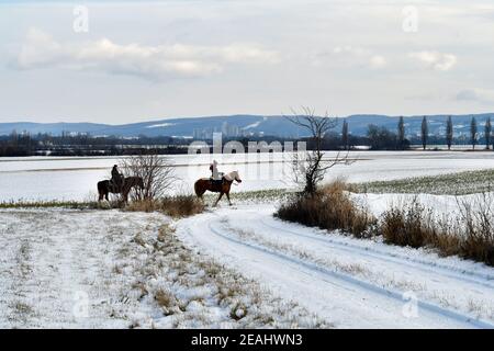 Reisenberg, Austria - January 16, 2021: Unidentified riders across snow covered fields in the rural village in Lower Austria Stock Photo
