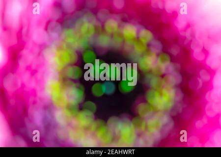 Abstract macro background Stock Photo