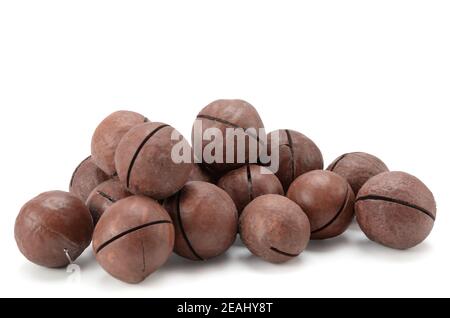 macadamia nuts on white background Stock Photo