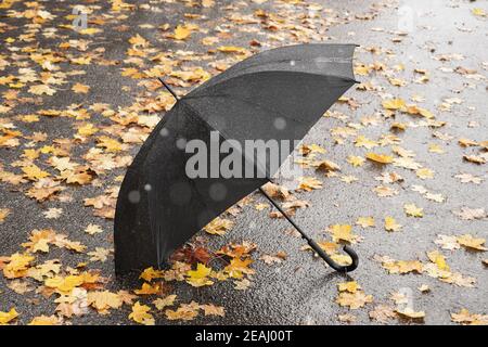 autumn public park with yellow leaves and umbrella at the end of the rain Stock Photo