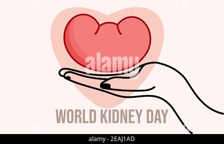 Vector llustration Of World Kidney Day. Human Hand Holds Kidney. Modern Trendy Design for Banner, Poster, Header, Background. Stock Vector