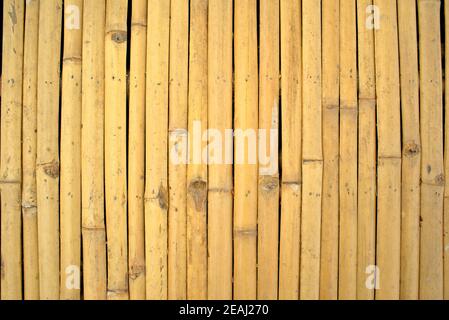 Bamboo wooden board template. Empty tabletop plank background. Display, overlay, flat lay, mock up or montage. Stock Photo
