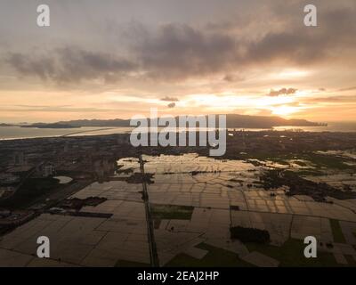 Aerial view paddy field during flooded season Stock Photo