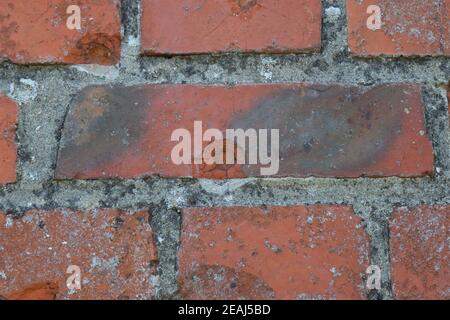 Bullet marks on a brick wall. Stock Photo