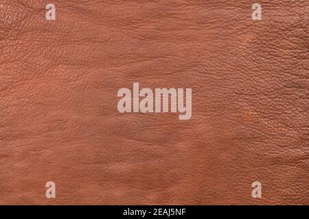 Coarsely granular texture brown natural leather. Brown leather, texture close-up. Stock Photo