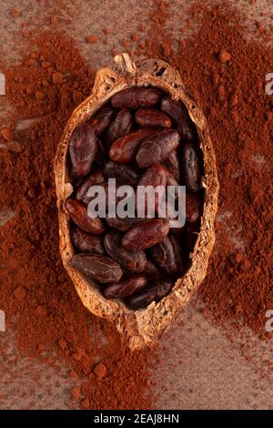 Fresh roasted cocoa beans and powder on brown background. Stock Photo