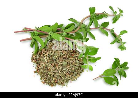 Oregano or marjoram leaves fresh and dry isolated on white background with clipping path. Top view. Flat lay. Stock Photo