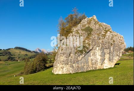 Giant rock on Seiser Alm, Alpe di Siusi, South Tyrol Stock Photo
