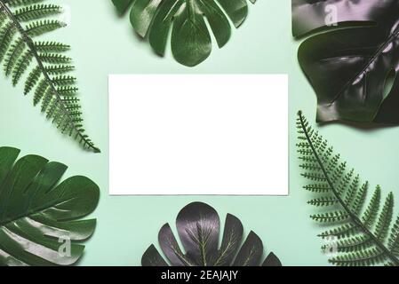 Tropical palm leaves frame with white paper in the center on green background