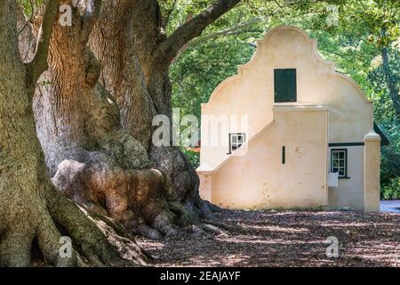 Somerset West, South Africa - January 30. 2020 : The Vergelegen Wine Estate is located at Somerset West in South Africa. A bistro and restaurant are a Stock Photo