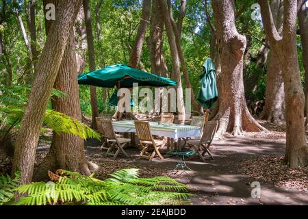 Somerset West, South Africa - January 30. 2020 : The Vergelegen Wine Estate is located at Somerset West in South Africa. A bistro and restaurant are a Stock Photo