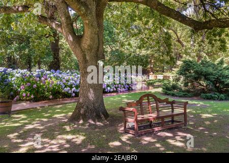 Somerset West, South Africa - January 30. 2020 : The Vergelegen Wine Estate is located at Somerset West in South Africa. A bistro and restaurant are a Stock Photo