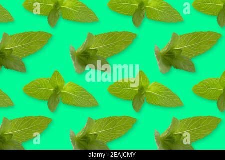 Pattern of fresh vegetables isolated on creative colored texture Stock Photo