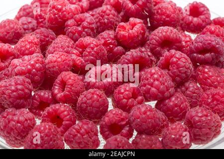 A beautiful selection of freshly picked ripe red raspberries. Stock Photo