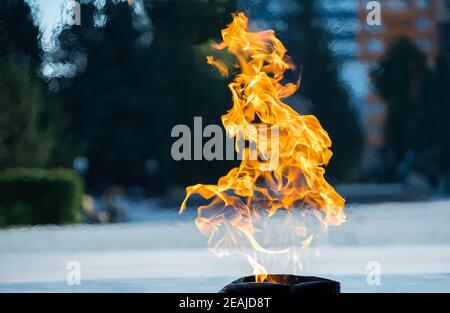 Close-up of the fire. Burning gas or gasoline burns with fire and flames. Flaming burning sparks close-up, fire patterns. Flames of fire on the street Stock Photo