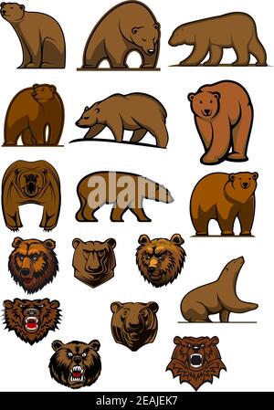 Set of cartoon brown bears or grizzly in different poses and bear heads with aggressive grind for tatoo, logo or emblem design Stock Vector
