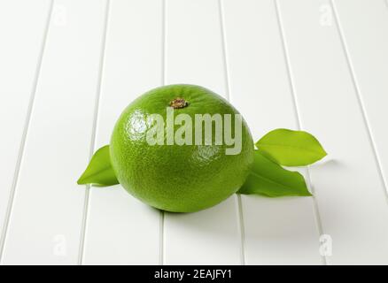 Sweetie fruit (green grapefruit, pomelit) Stock Photo