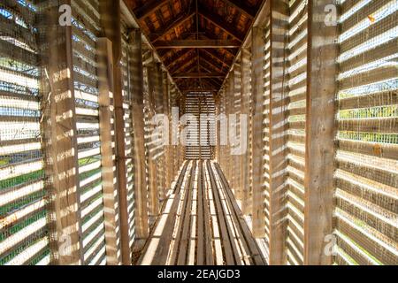 A Thin Wooden Building With Unique Lines of Light and Shadows Cast From the Sun Stock Photo