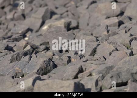 2 - Abstract full frame sharp stone boulder background texture, golden hour Stock Photo