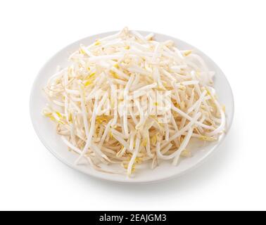 Sprouts in a plate on a white background Stock Photo