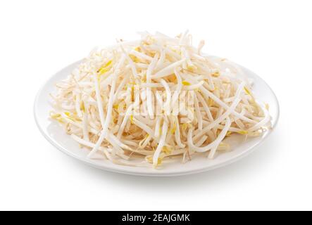 Sprouts in a plate on a white background Stock Photo