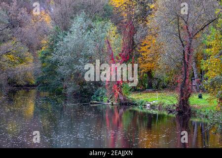 River Glan surrounded with multi colored trees Stock Photo