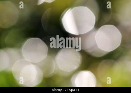 Glittering blurred green and white background with luminous dots Stock Photo