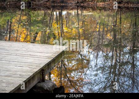 Autums trees colorful foliage refelcted in lake wooden dock copy space. Stock Photo