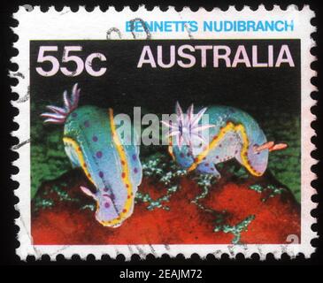 Stamp printed in Australia shows Bennettâ€™s Nudibranch, series, circa 1984 Stock Photo