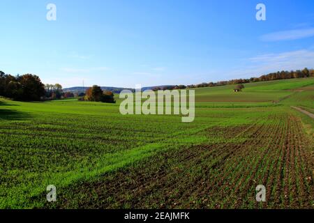 View of the autumnal HeckengÃ¤u near Holzbronn in the Calw district Stock Photo
