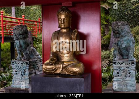 Buddha statue in the tropical Chinese garden, Golden Buda statue in Madeira Funchal garden Stock Photo