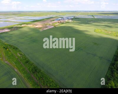 Plant for the drying and storage of grain. Top view. Grain terminal. Stock Photo
