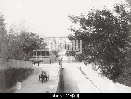 Late 19th century photograph: Street is Nassau, Bahamas Stock Photo