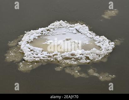 10 February 2021, Brandenburg, Küstrin-Kietz: An ice floe, a so-called Brieger Gänse, drifts downstream on the German-Polish border river Oder. With the Brieger Gänse a term that used to appear in Silesia has reached the Lower Oder. The name stands for the round ice floes with a curled edge, which was used in the surroundings of the city of Brieg (Brzeg). Photo: Patrick Pleul/dpa-Zentralbild/ZB Stock Photo